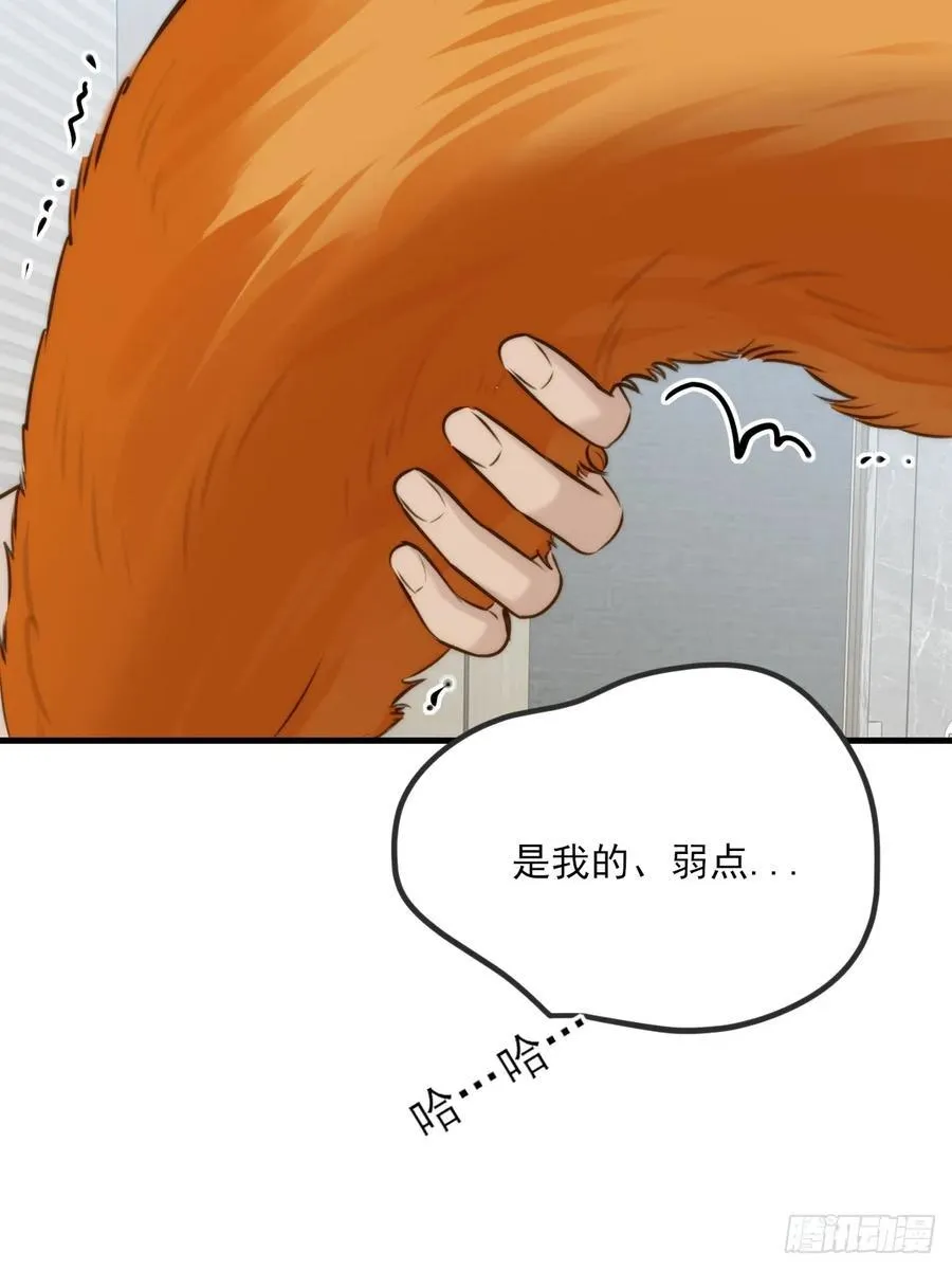 敏感的尾巴16