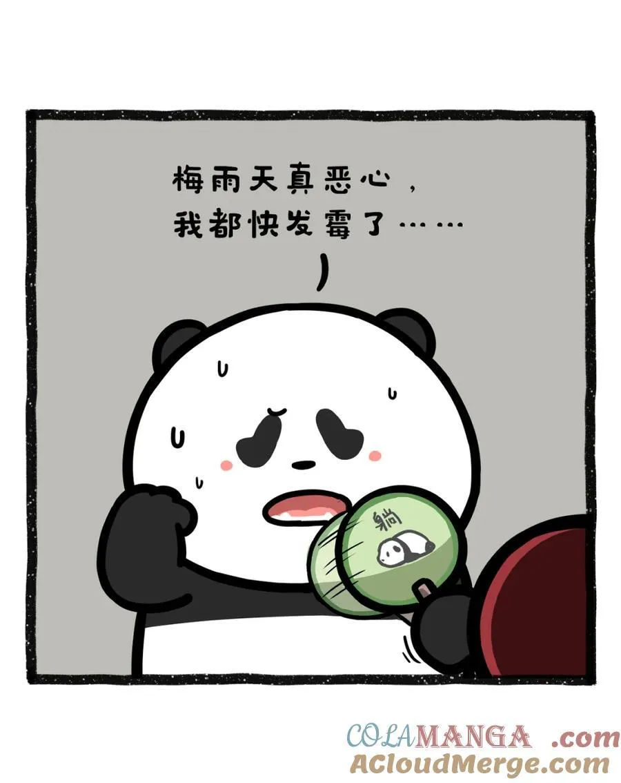 491 黄梅天有多致郁1