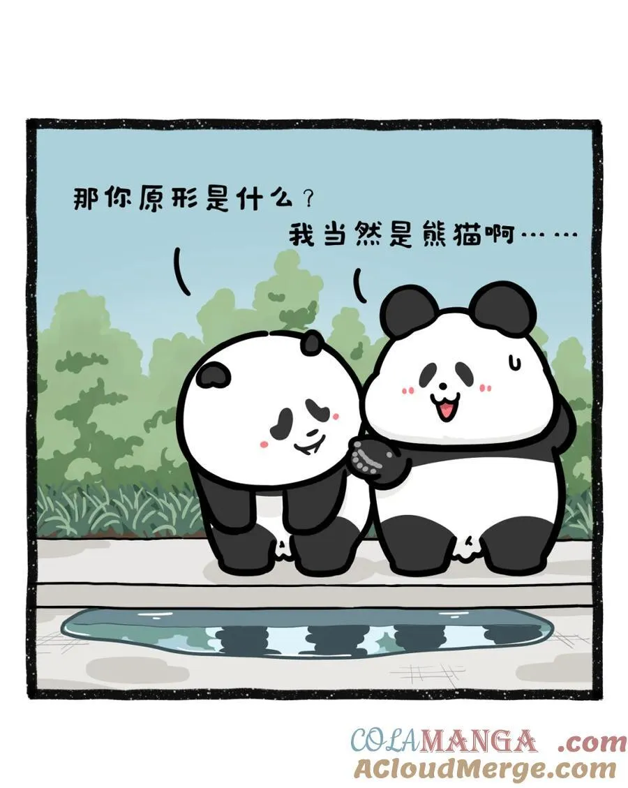 489 救命！雨后水塘倒影…暴露了我的“原厂设置”？1