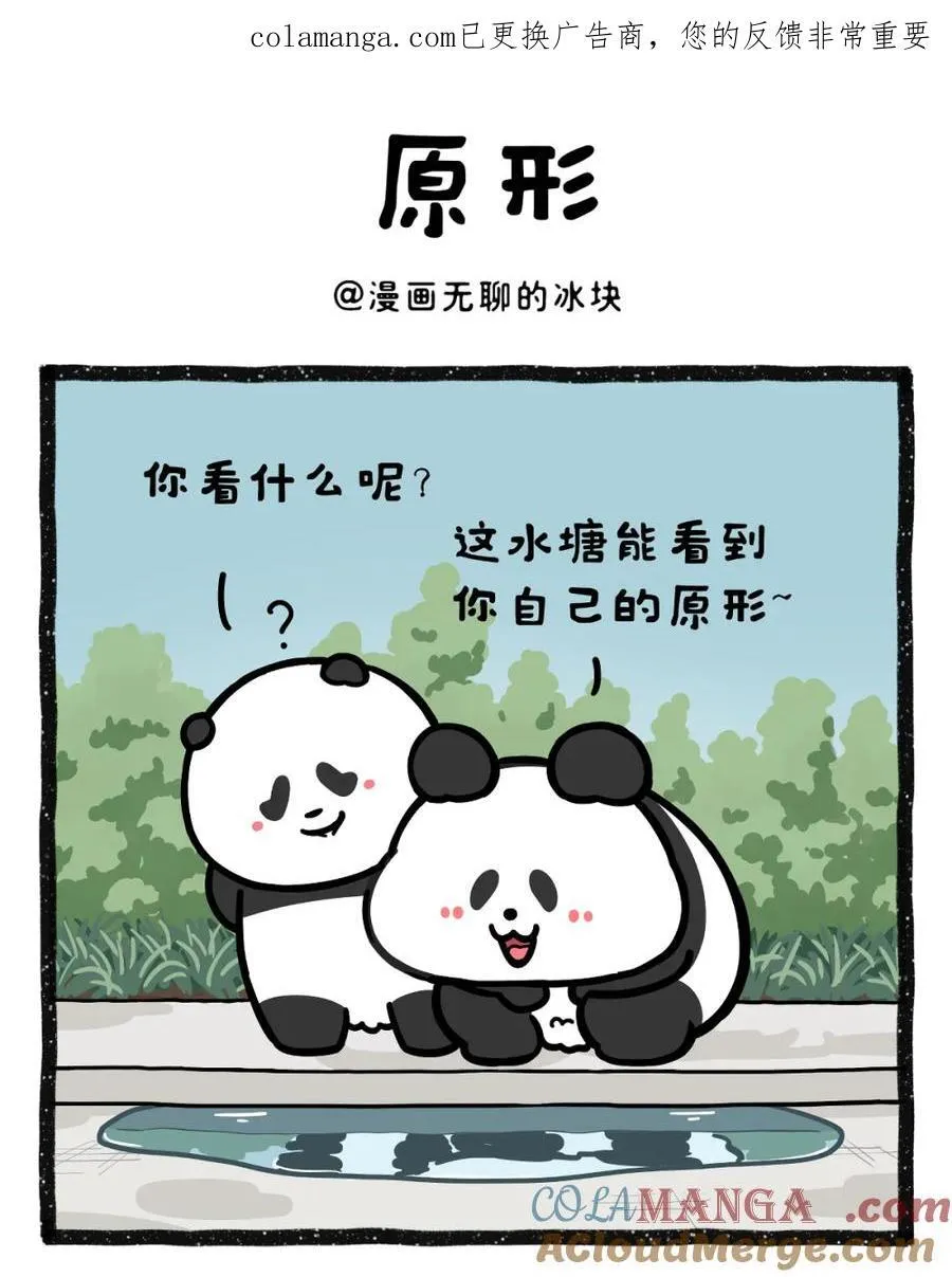 489 救命！雨后水塘倒影…暴露了我的“原厂设置”？0