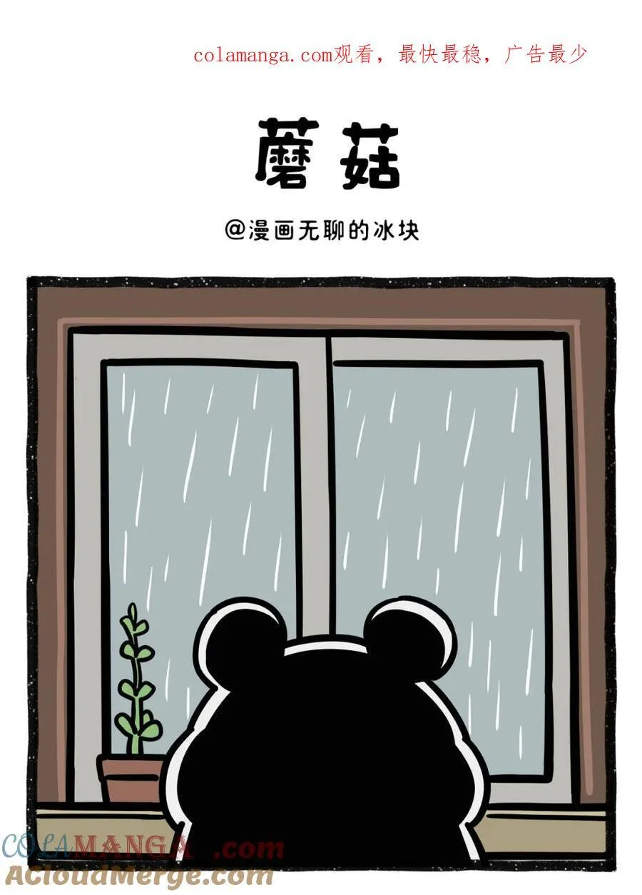 491 黄梅天有多致郁0