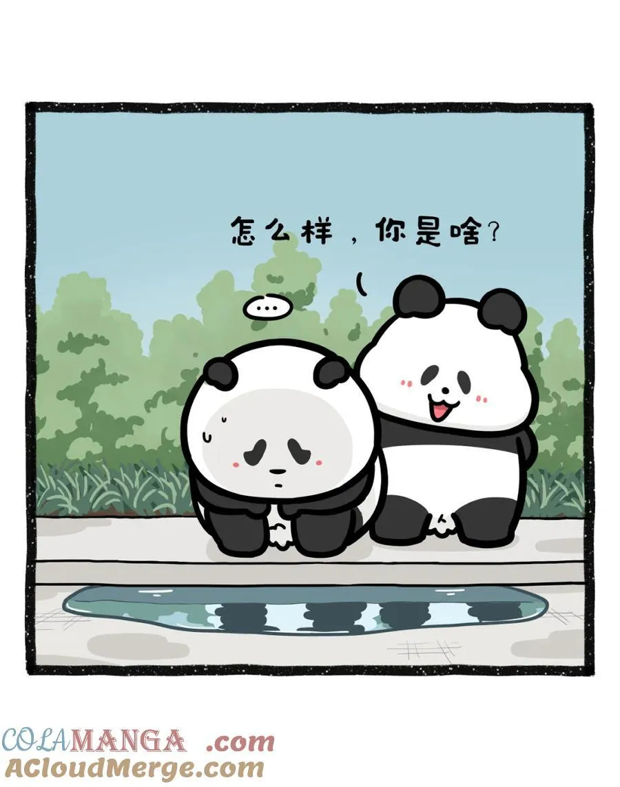 489 救命！雨后水塘倒影…暴露了我的“原厂设置”？5