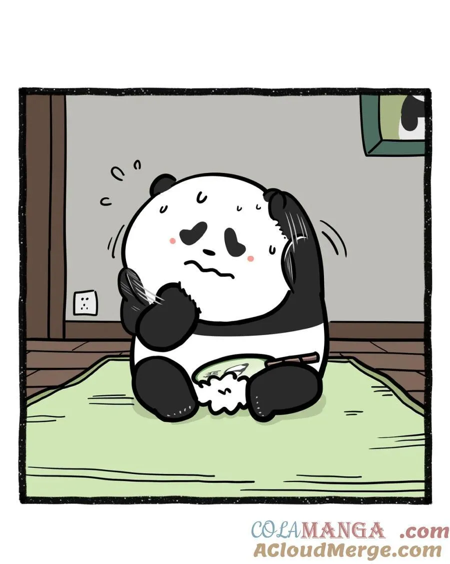491 黄梅天有多致郁5