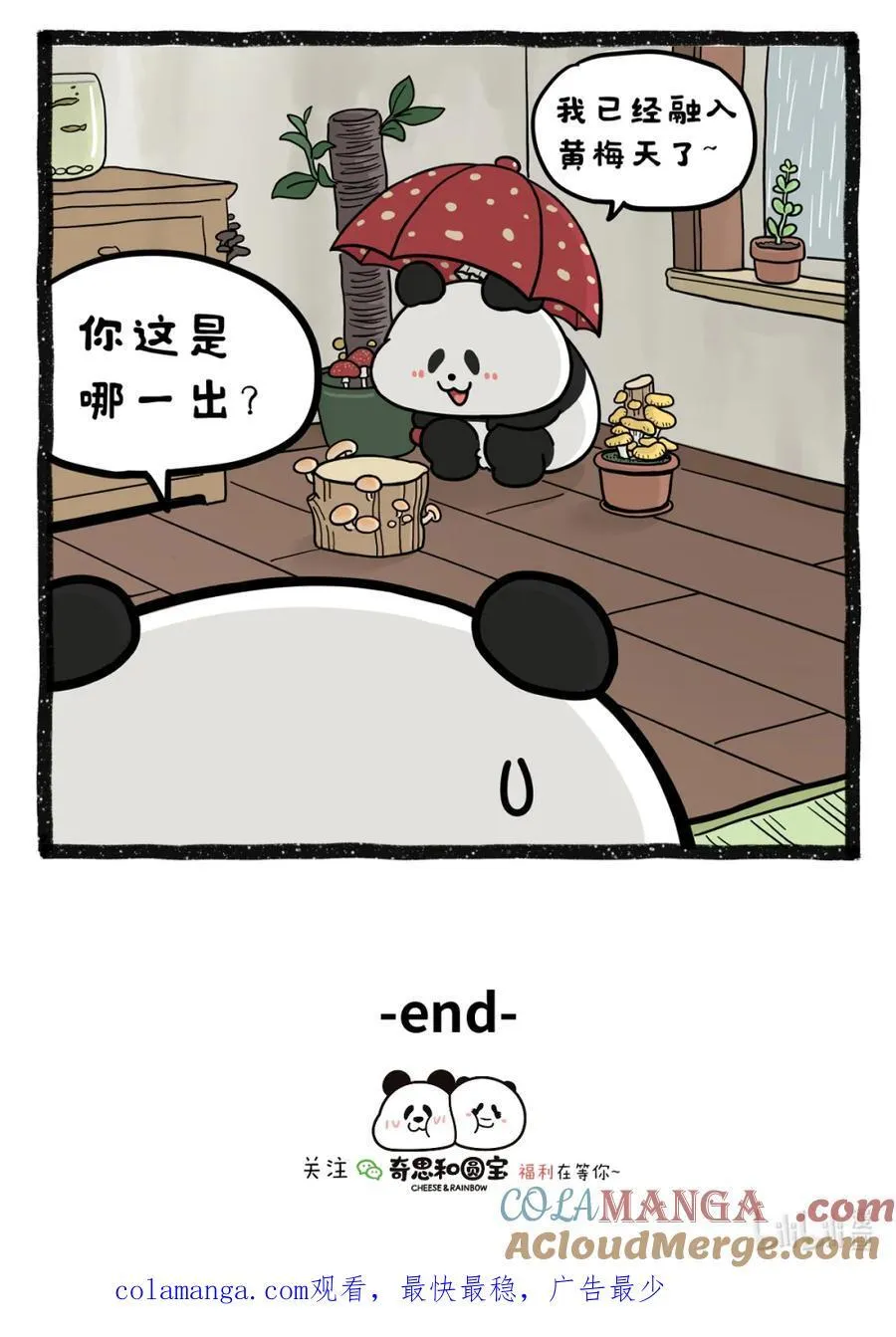 491 黄梅天有多致郁8