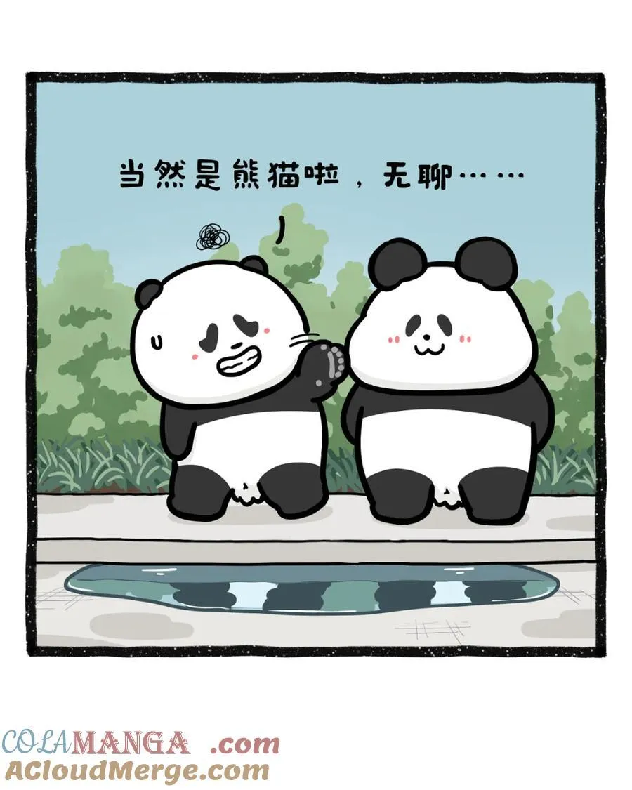 489 救命！雨后水塘倒影…暴露了我的“原厂设置”？6