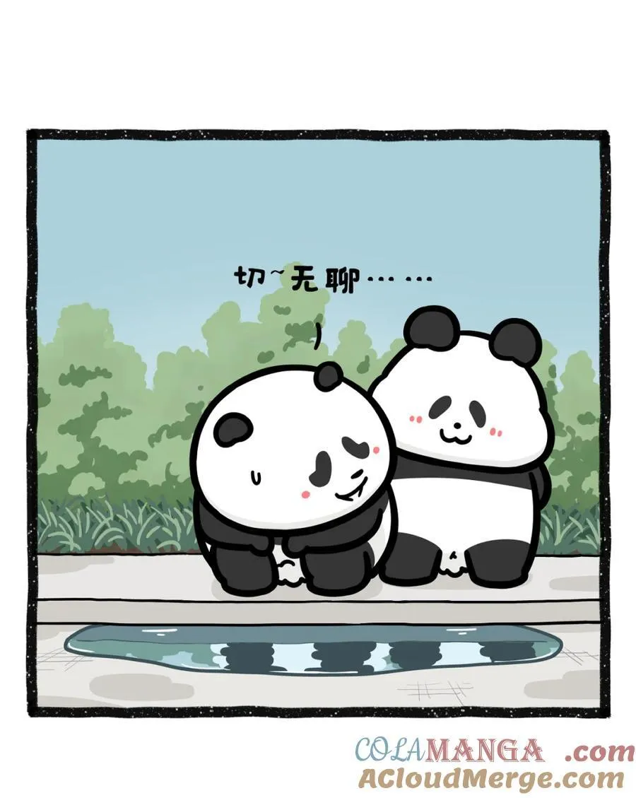 489 救命！雨后水塘倒影…暴露了我的“原厂设置”？2