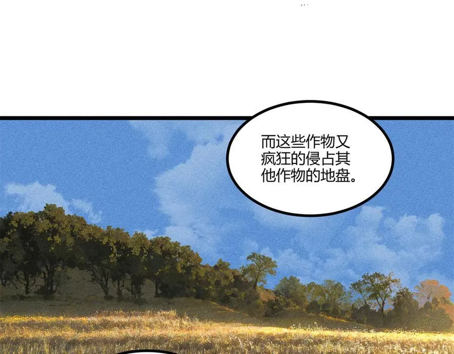 125 神之种99