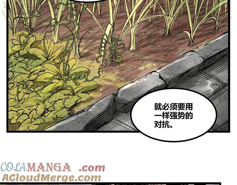 126 合作48