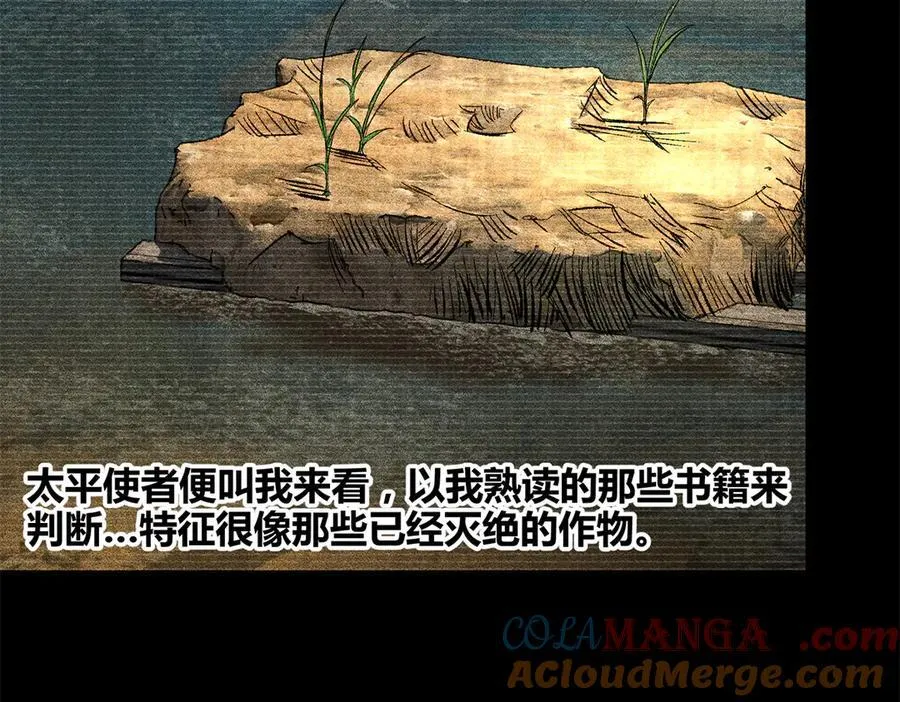 125 神之种76