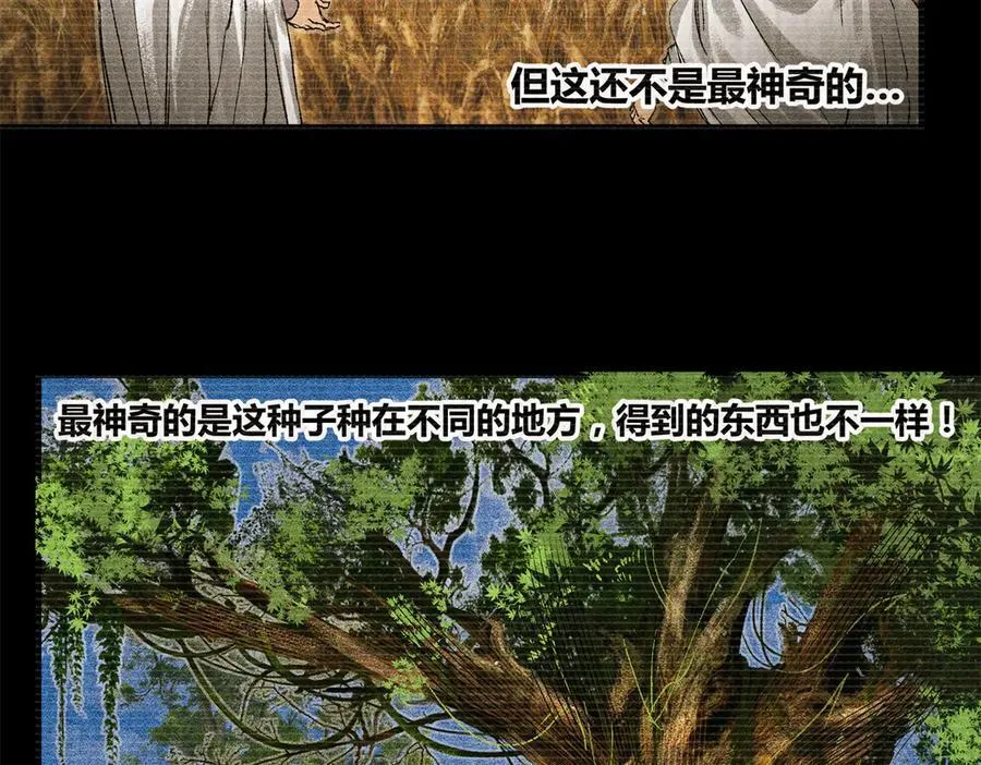 125 神之种54