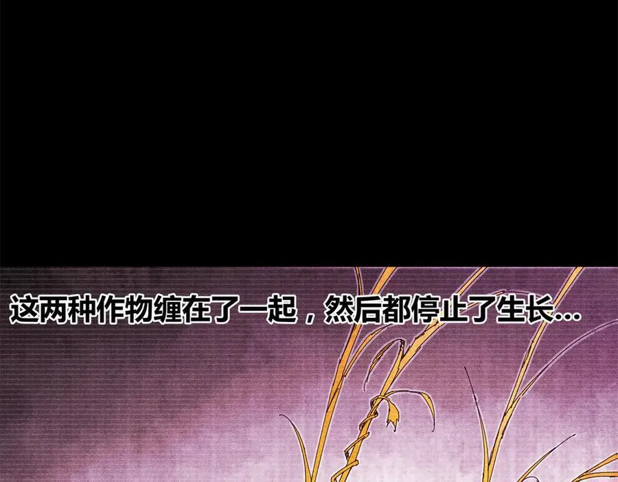 125 神之种82