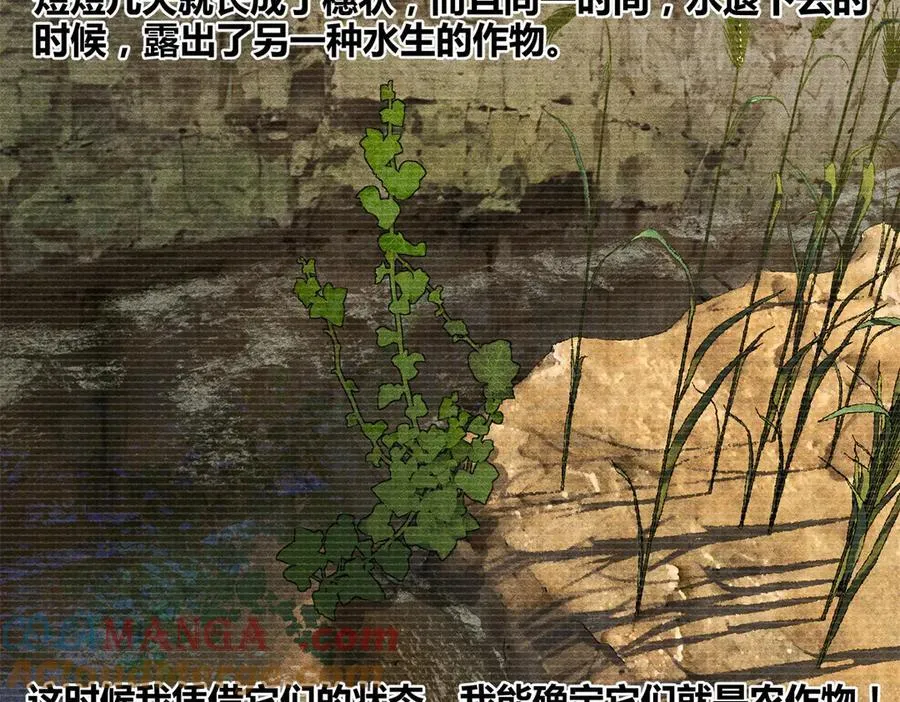 125 神之种80
