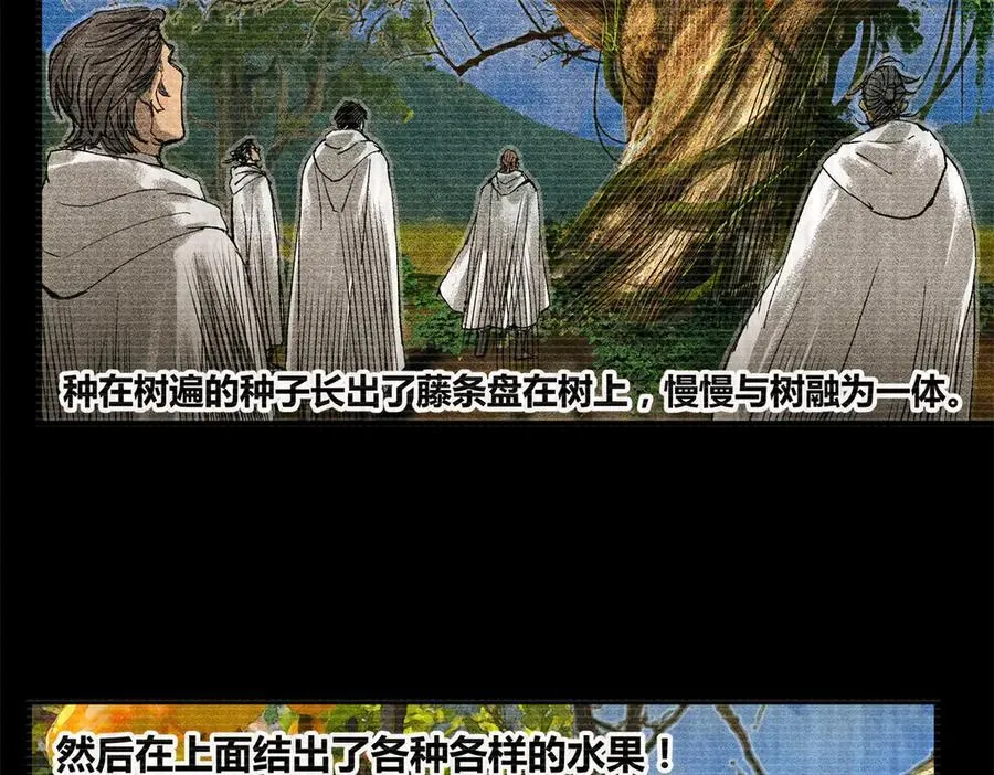 125 神之种55