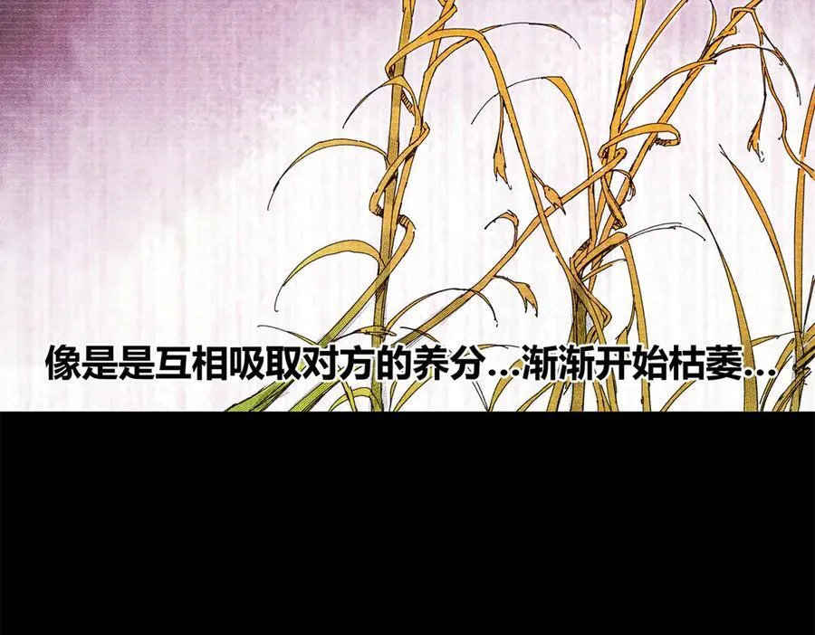 125 神之种83