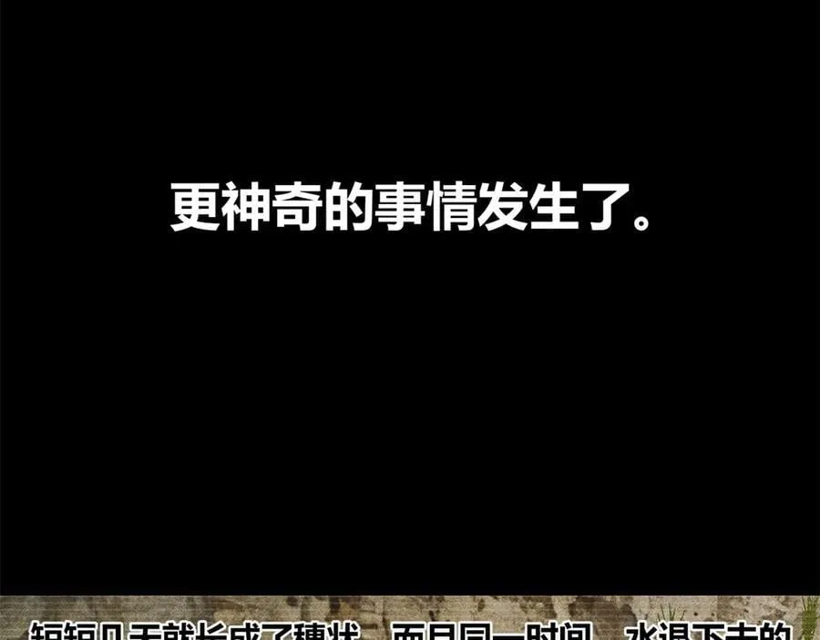 125 神之种79
