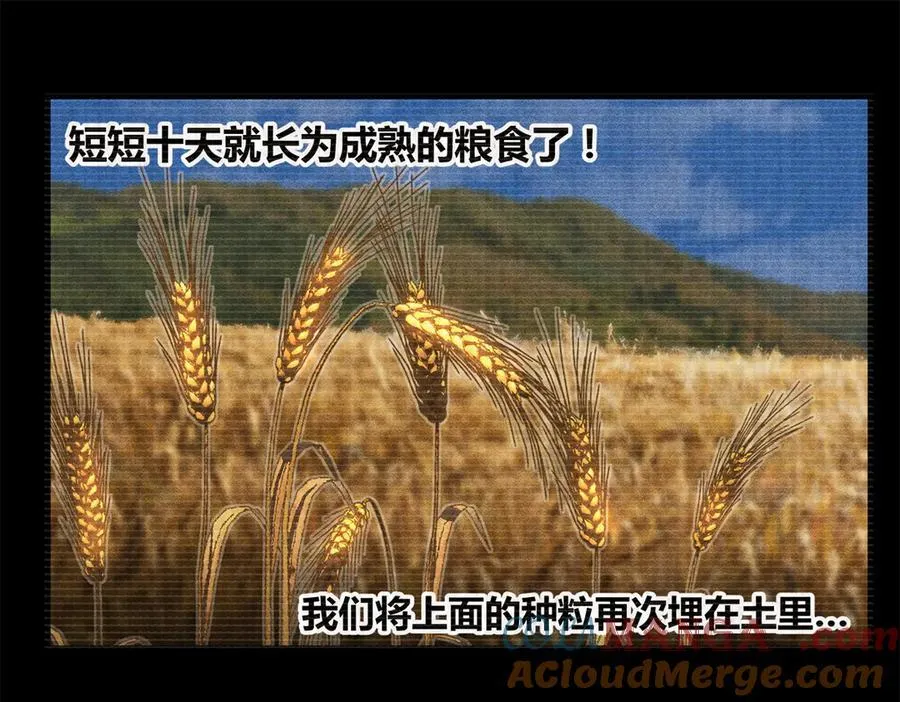 125 神之种52