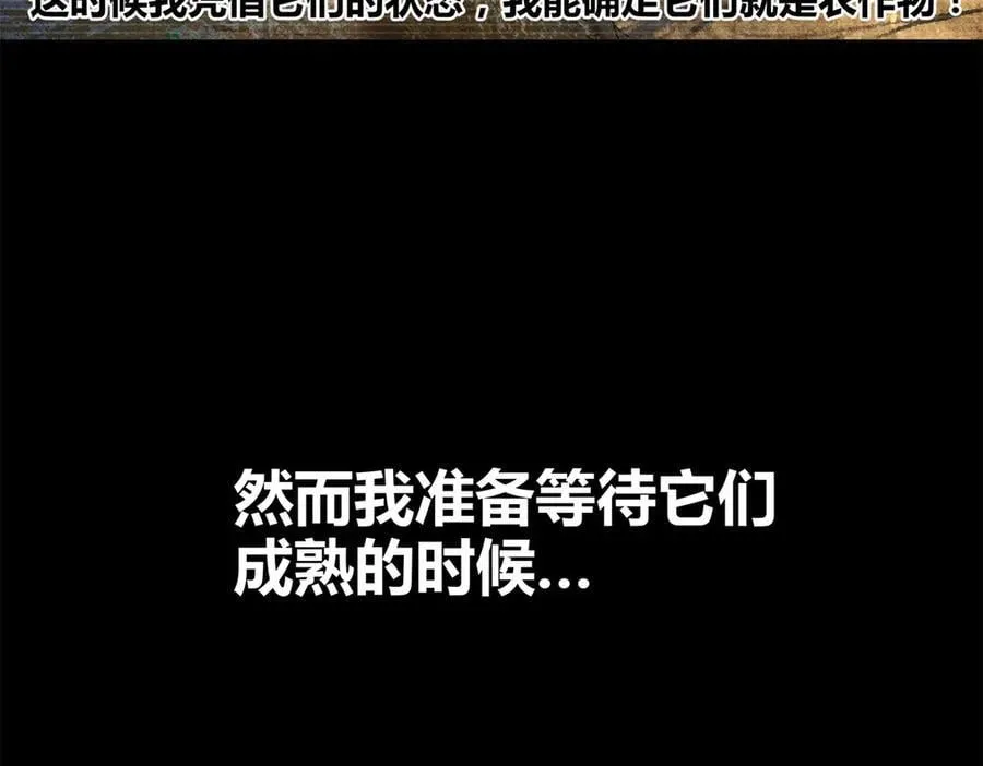 125 神之种81
