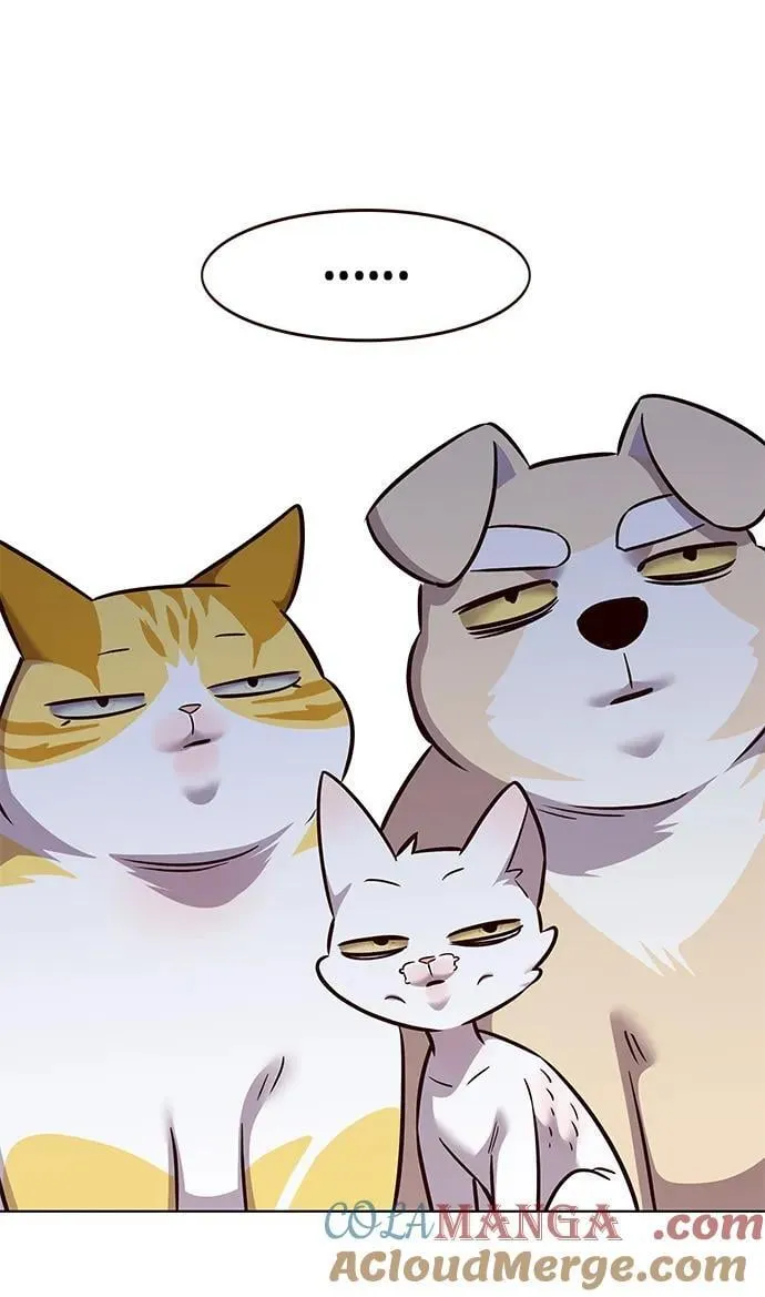 第343话24