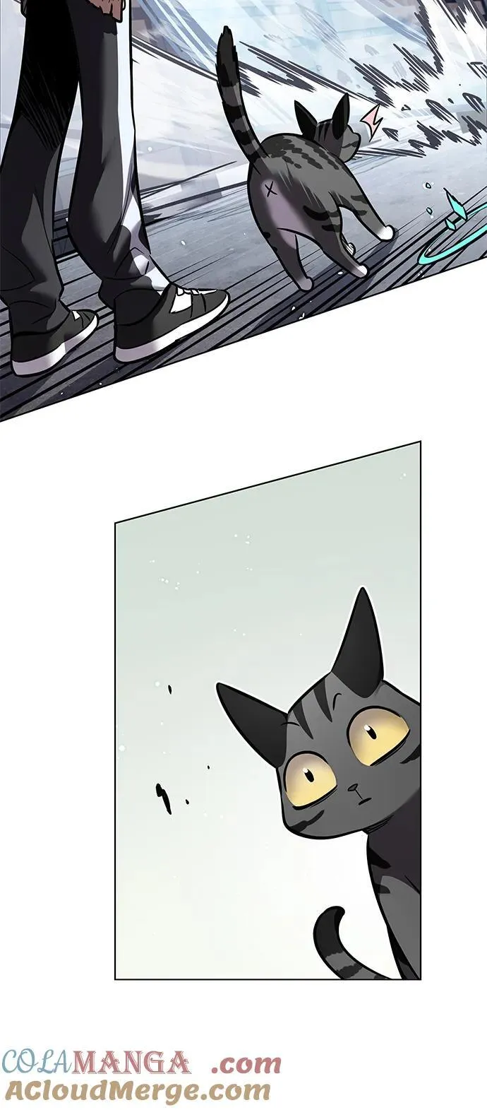 第349话12