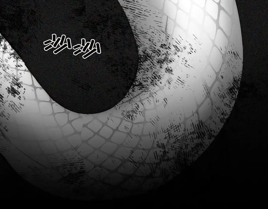 第80话 真正的白梨103