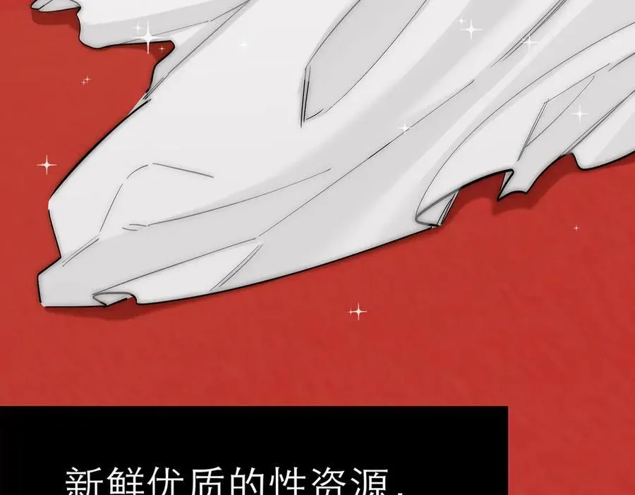 087 直播盛典49