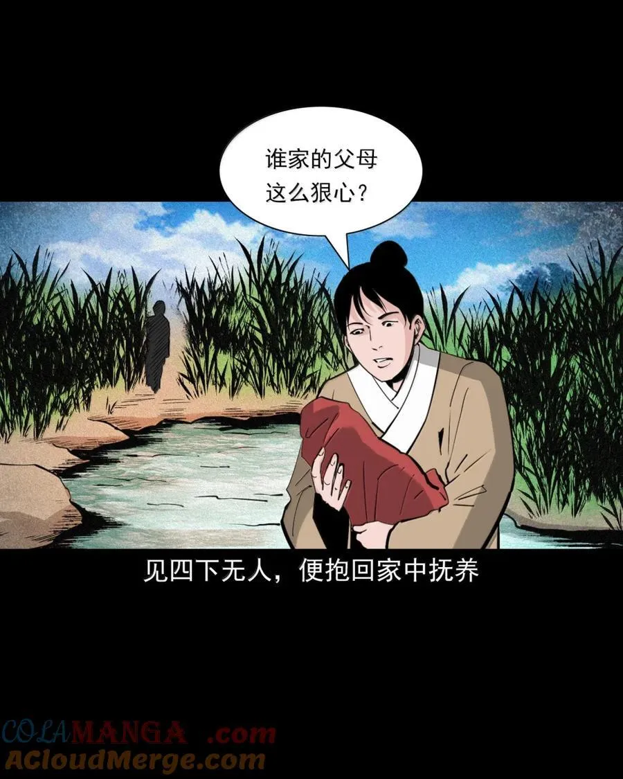 175 第175话棒槌奇案16