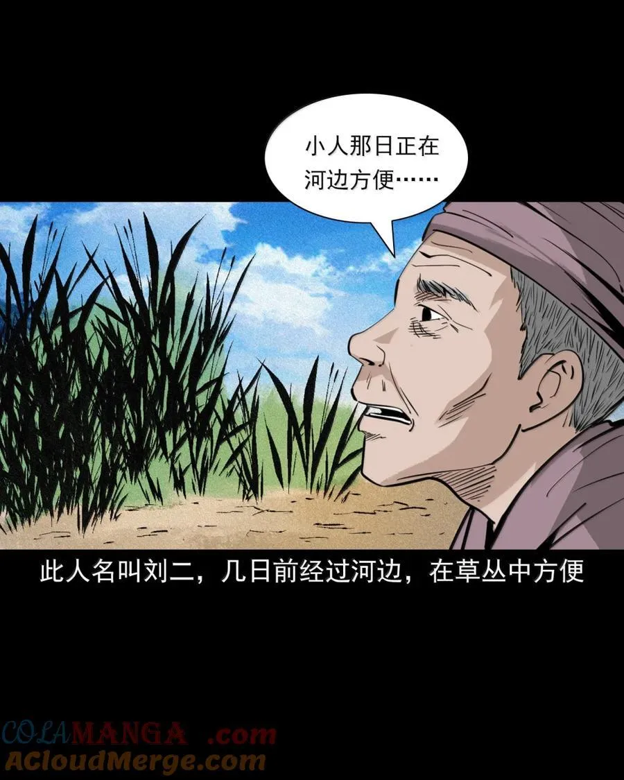 175 第175话棒槌奇案20