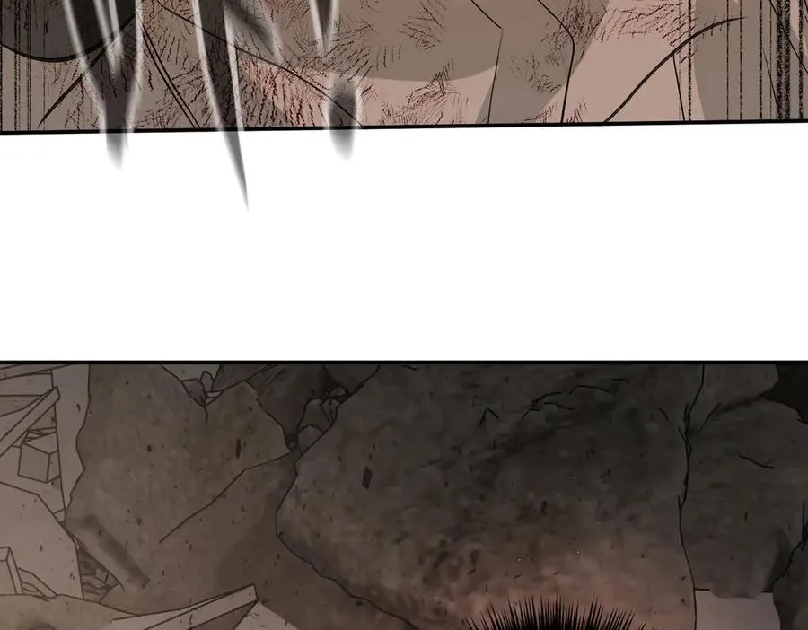 47-敌我不分277
