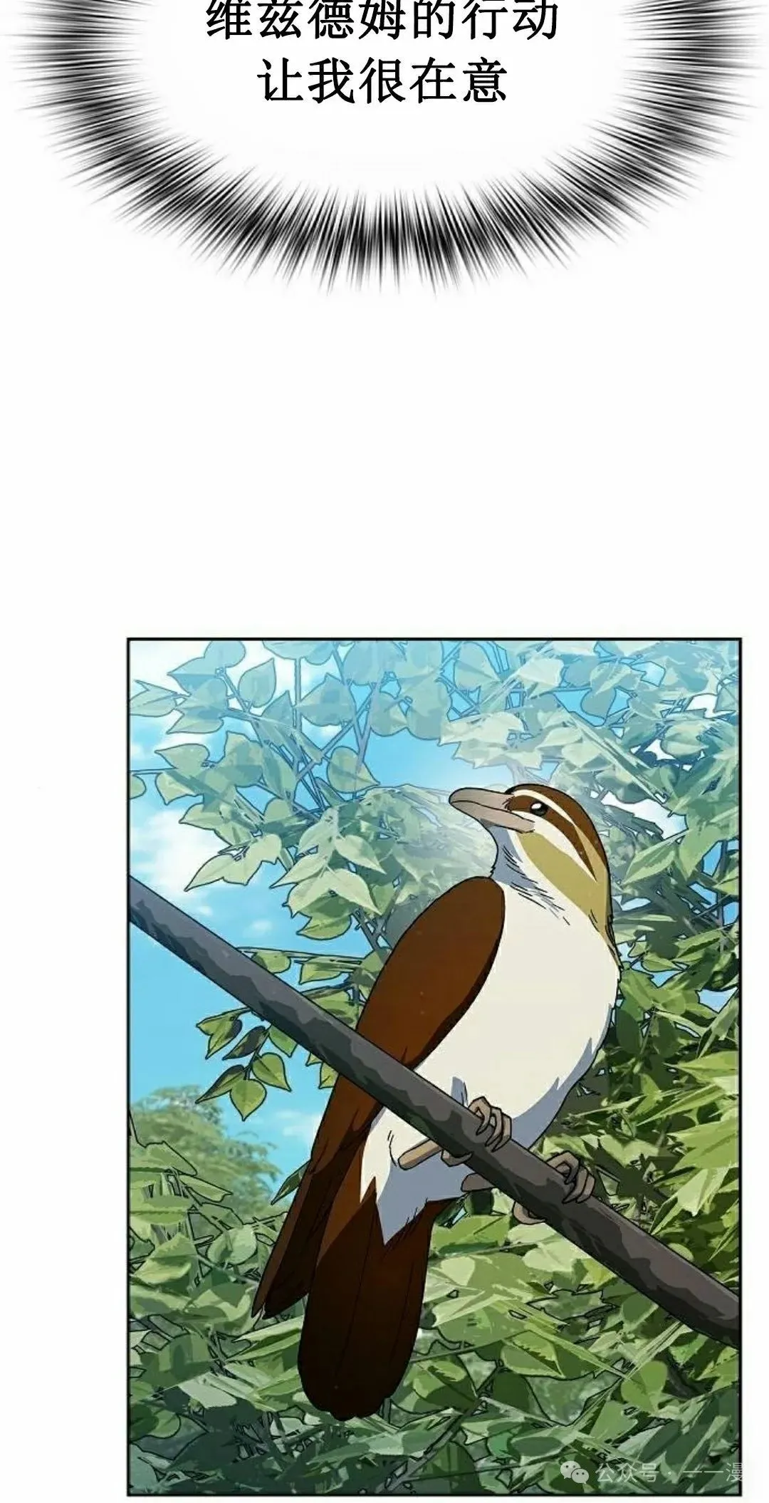 第85集97