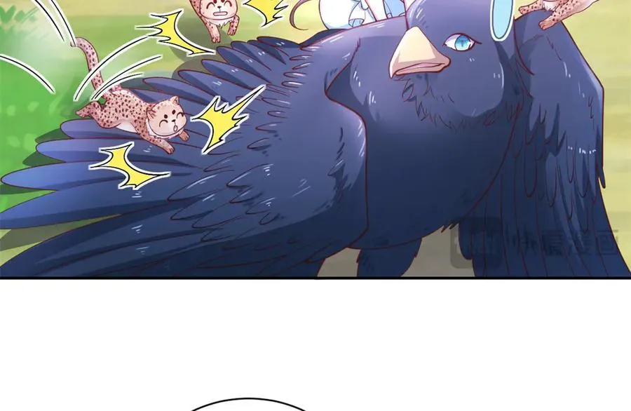 68055