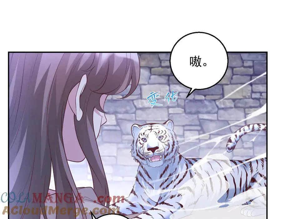67081