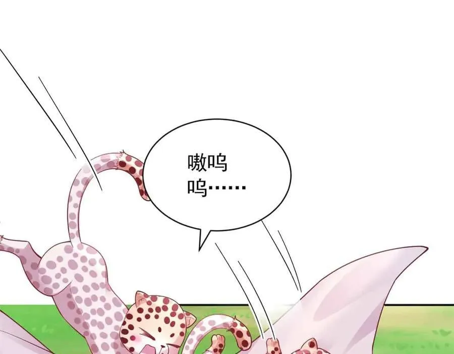 68444