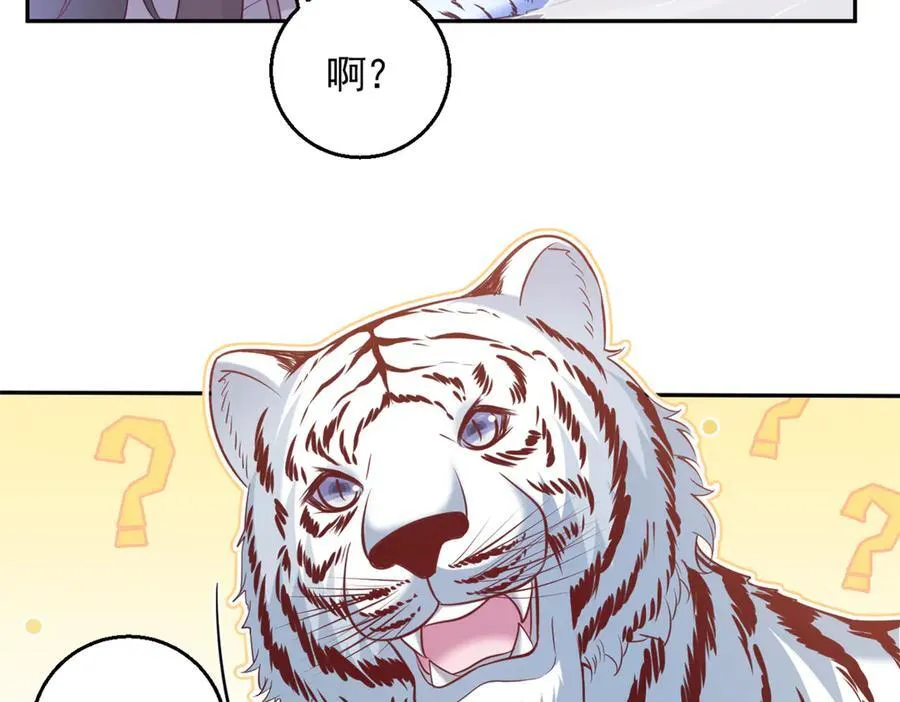 67082