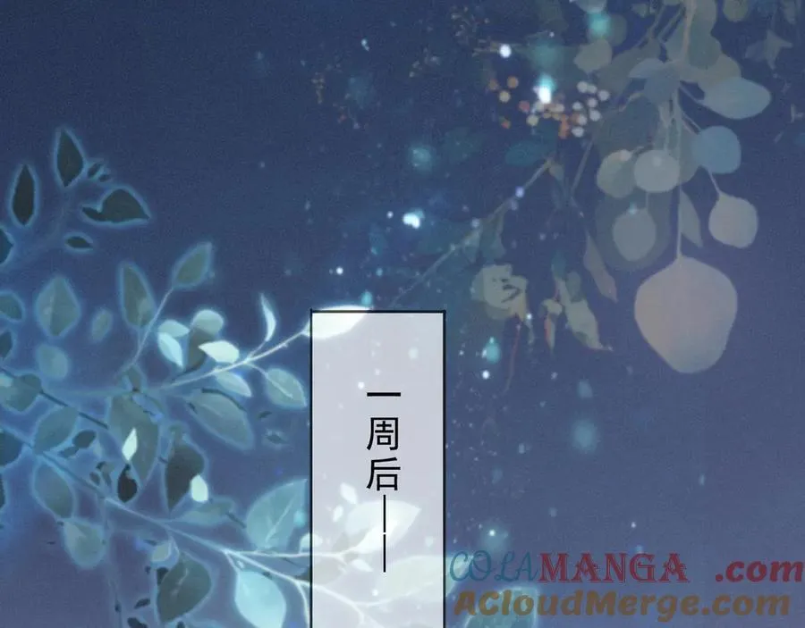 第65话 月夜88