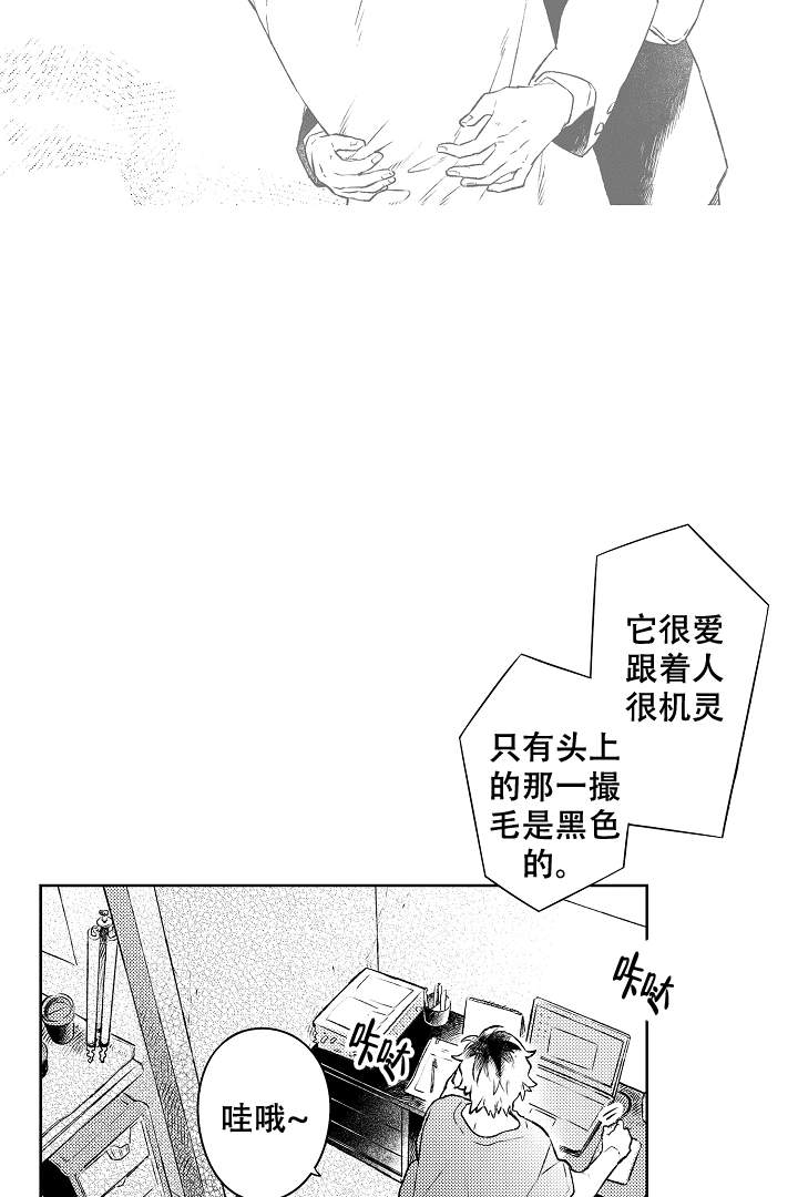 第15话8