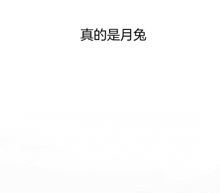 第53话43