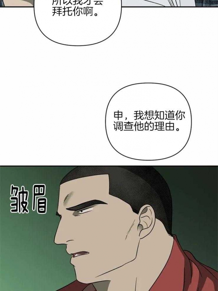 第41话17