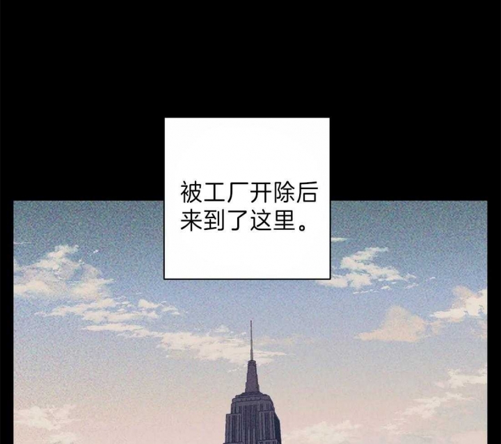 第25话24