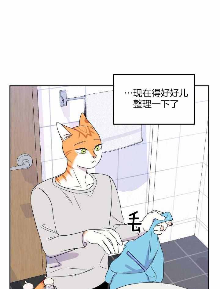 第44话8