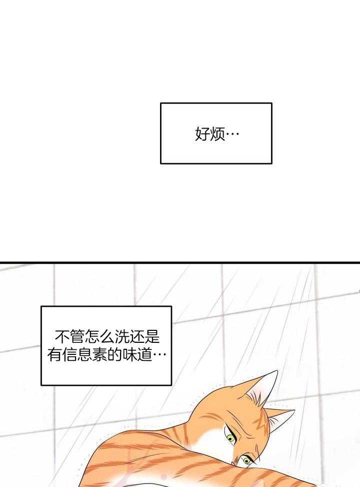 第33话13