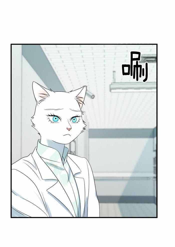 第63话29