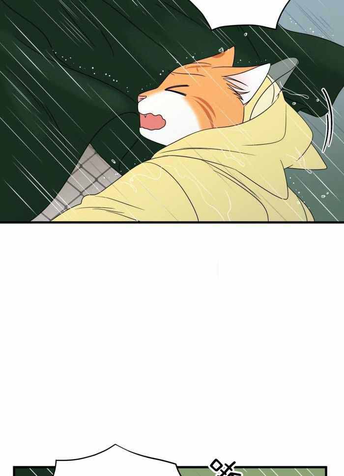第95话20
