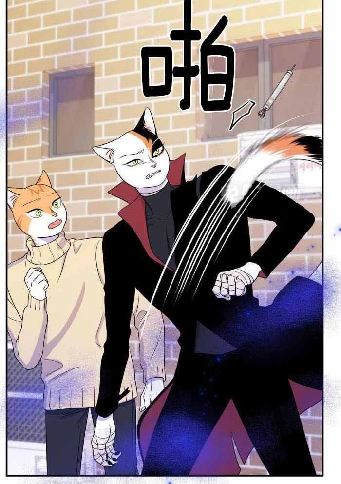 第51话25