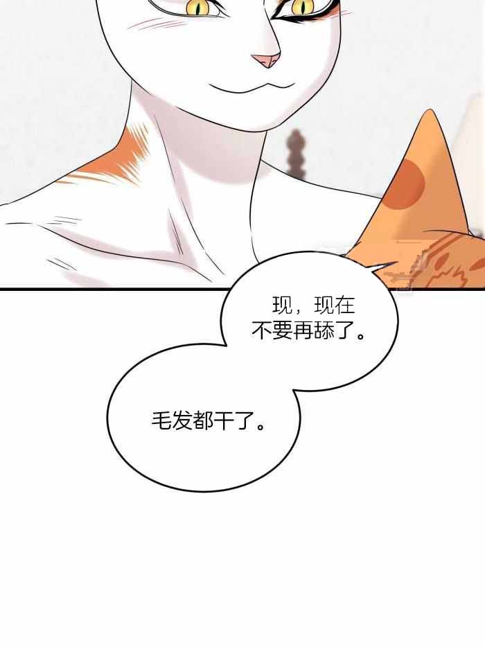 第99话22