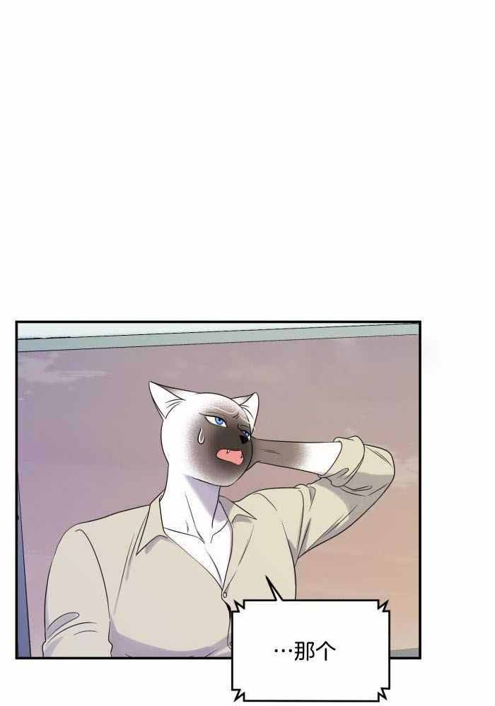 第62话14
