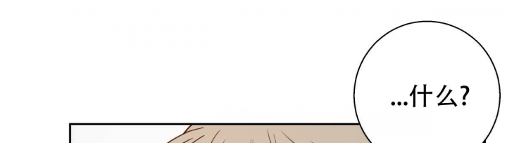 第117话52