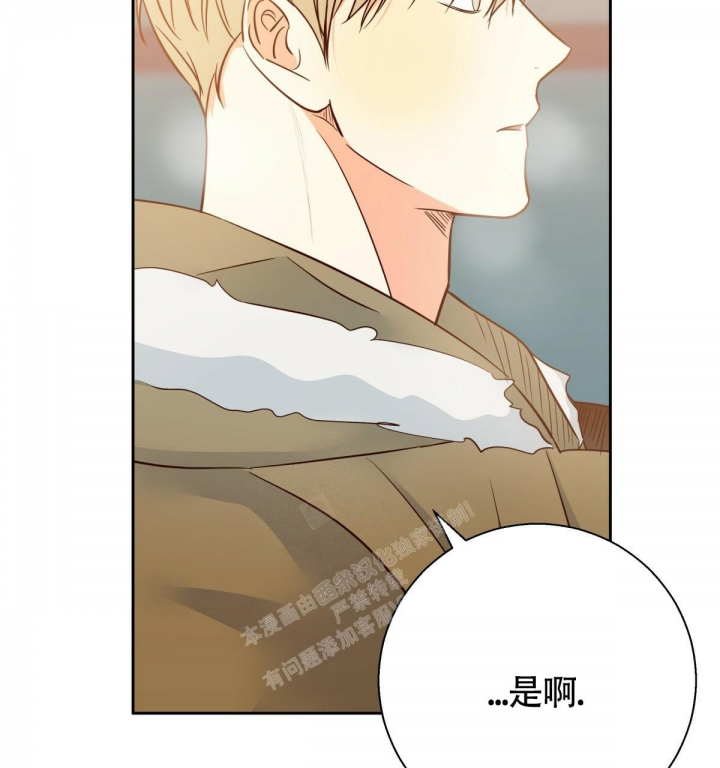 第137话39