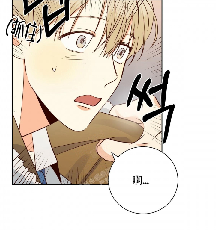 第137话16