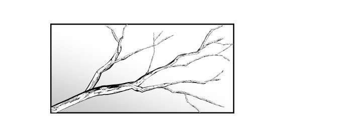 第46话0