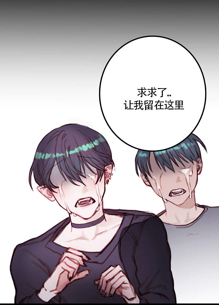 第11话12